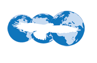 O Donoghue Freight Services